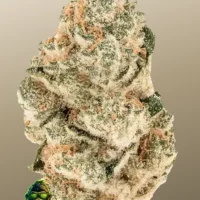 GORILLA MELON ™